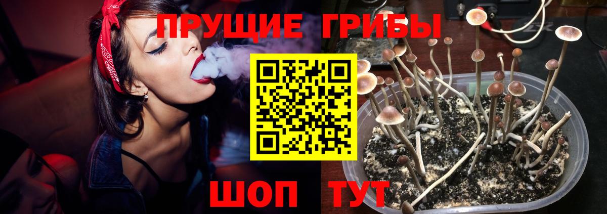 Галлюциногенные грибы Magic Shrooms  Вход с VPN  Иваново 